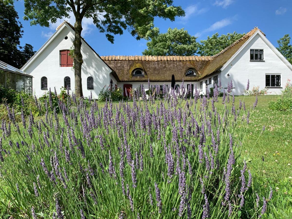 Mariegaardens Gaestehuse Hillerod Luaran gambar