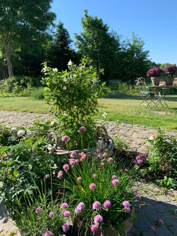 Mariegaardens Gaestehuse Hillerod Luaran gambar