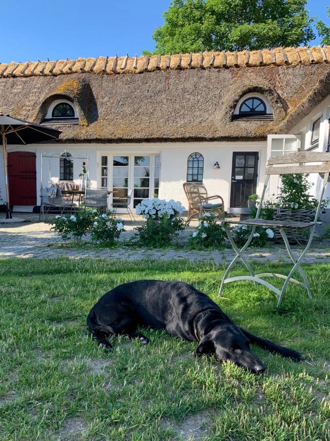 Mariegaardens Gaestehuse Hillerod Luaran gambar